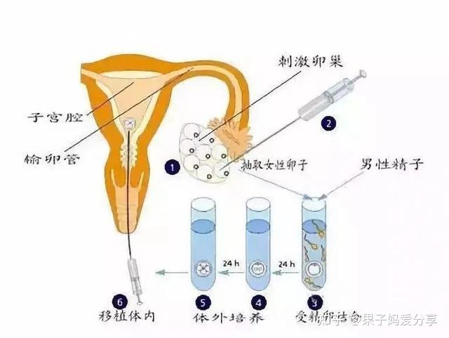 35岁以后amh小于1还有机会怀孕吗（专家说正确的生育方式很重要）